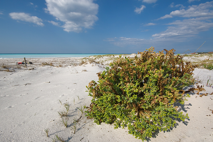 Le Spiagge Bianche a Rosignano Solvay